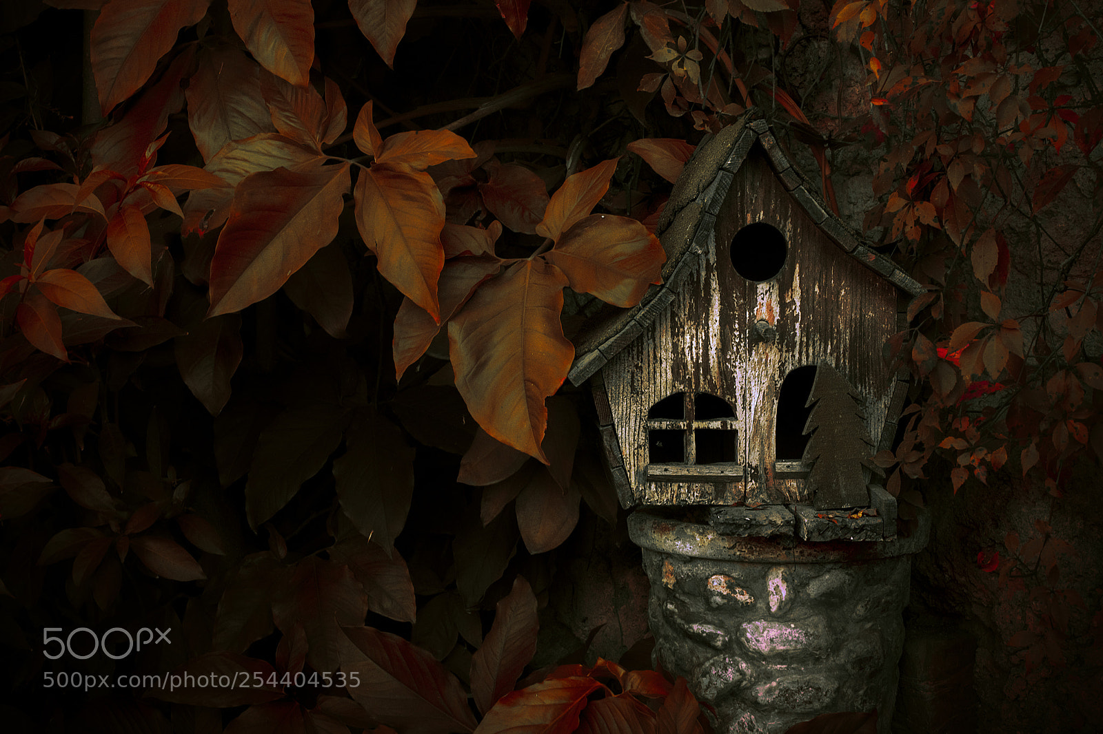 Nikon D3300 sample photo. The orange home photography
