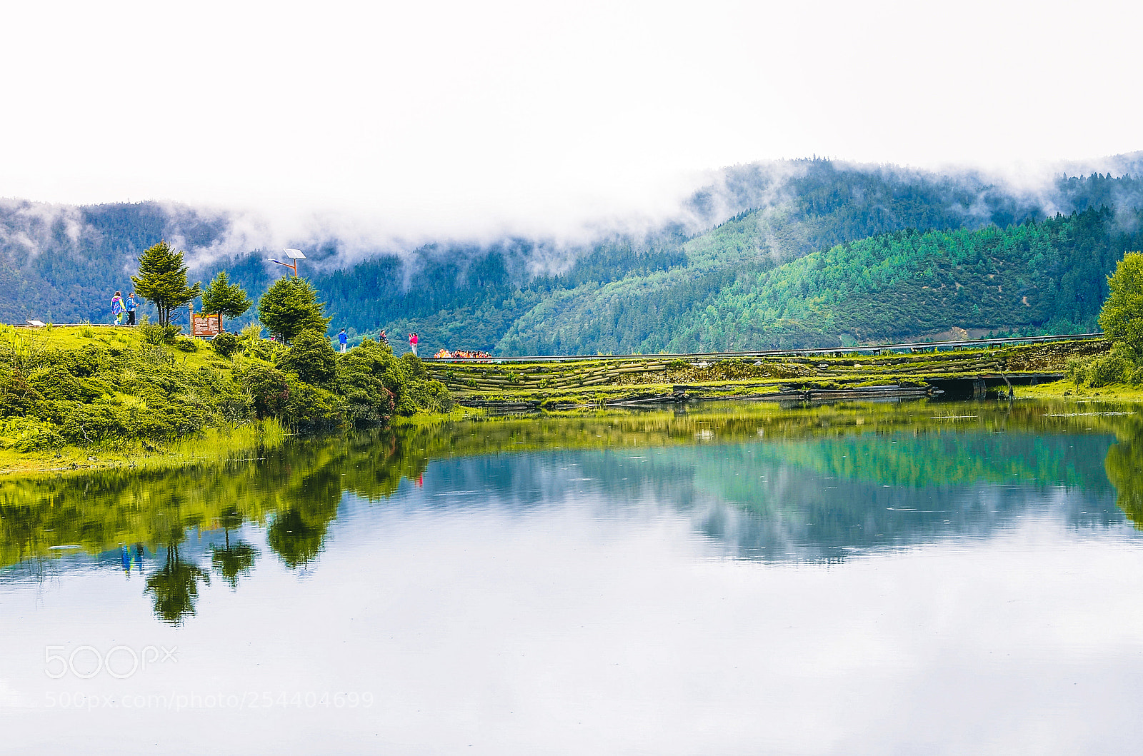 Nikon D7000 sample photo. 香格里拉普达措国家森林公园 photography
