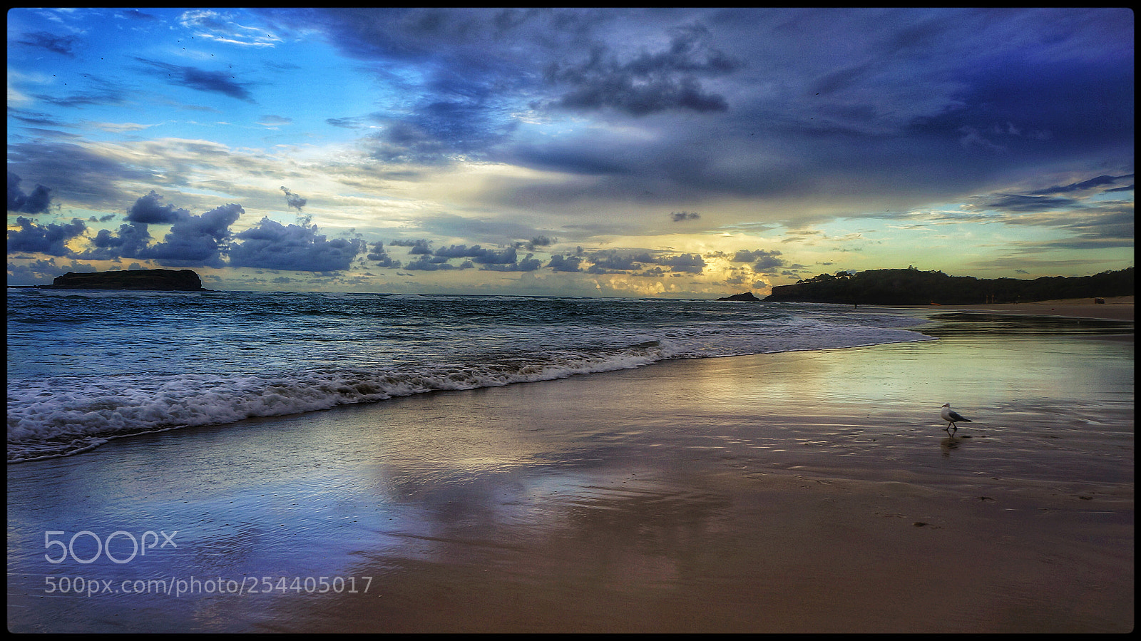 Sony Alpha NEX-5N sample photo. Fingal head beach photography