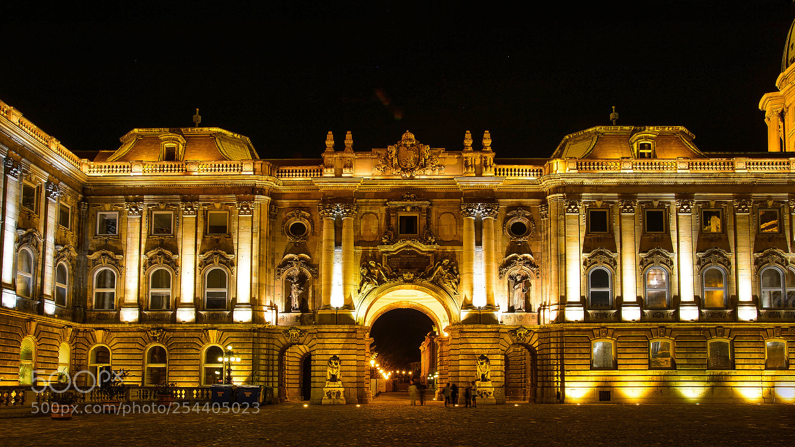 Nikon Df sample photo. Budapest palace luminar photography