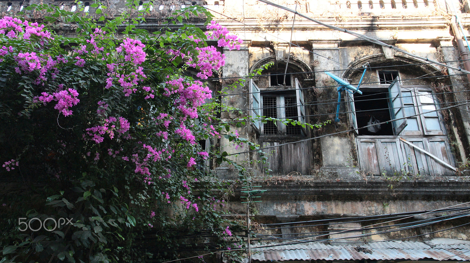 Canon EOS 650D (EOS Rebel T4i / EOS Kiss X6i) sample photo. Yangon photography