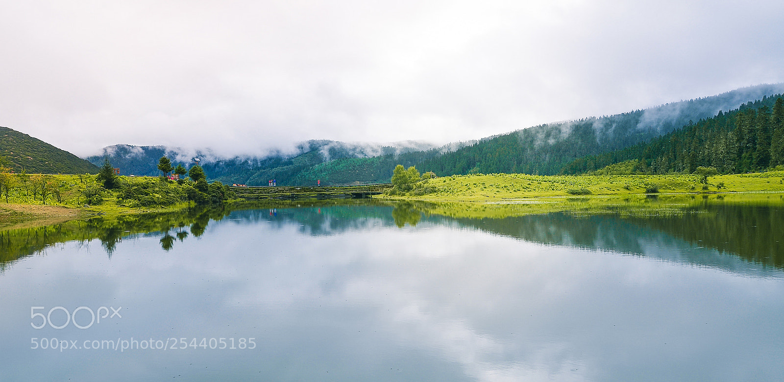 Nikon D7000 sample photo. 香格里拉普达措国家森林公园 photography