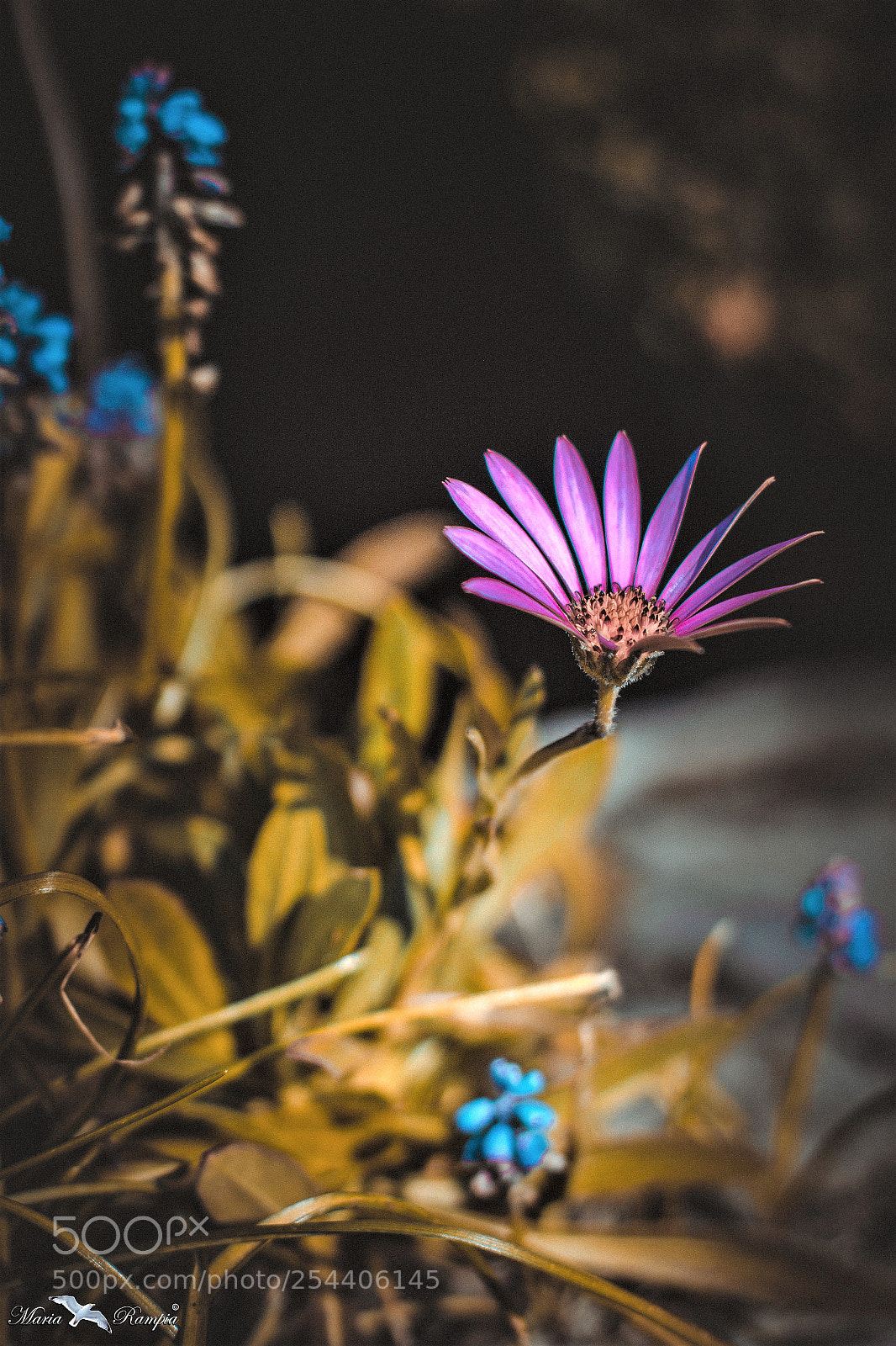 Canon EOS 70D sample photo. Friday morning photography