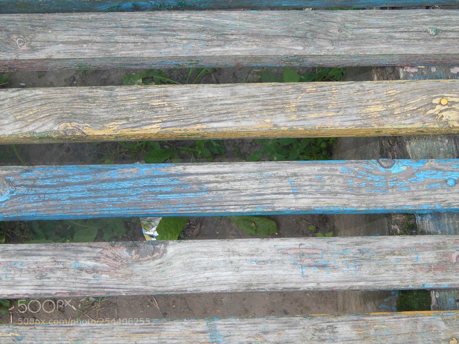 Nikon Coolpix L820 sample photo. The texture of natural photography