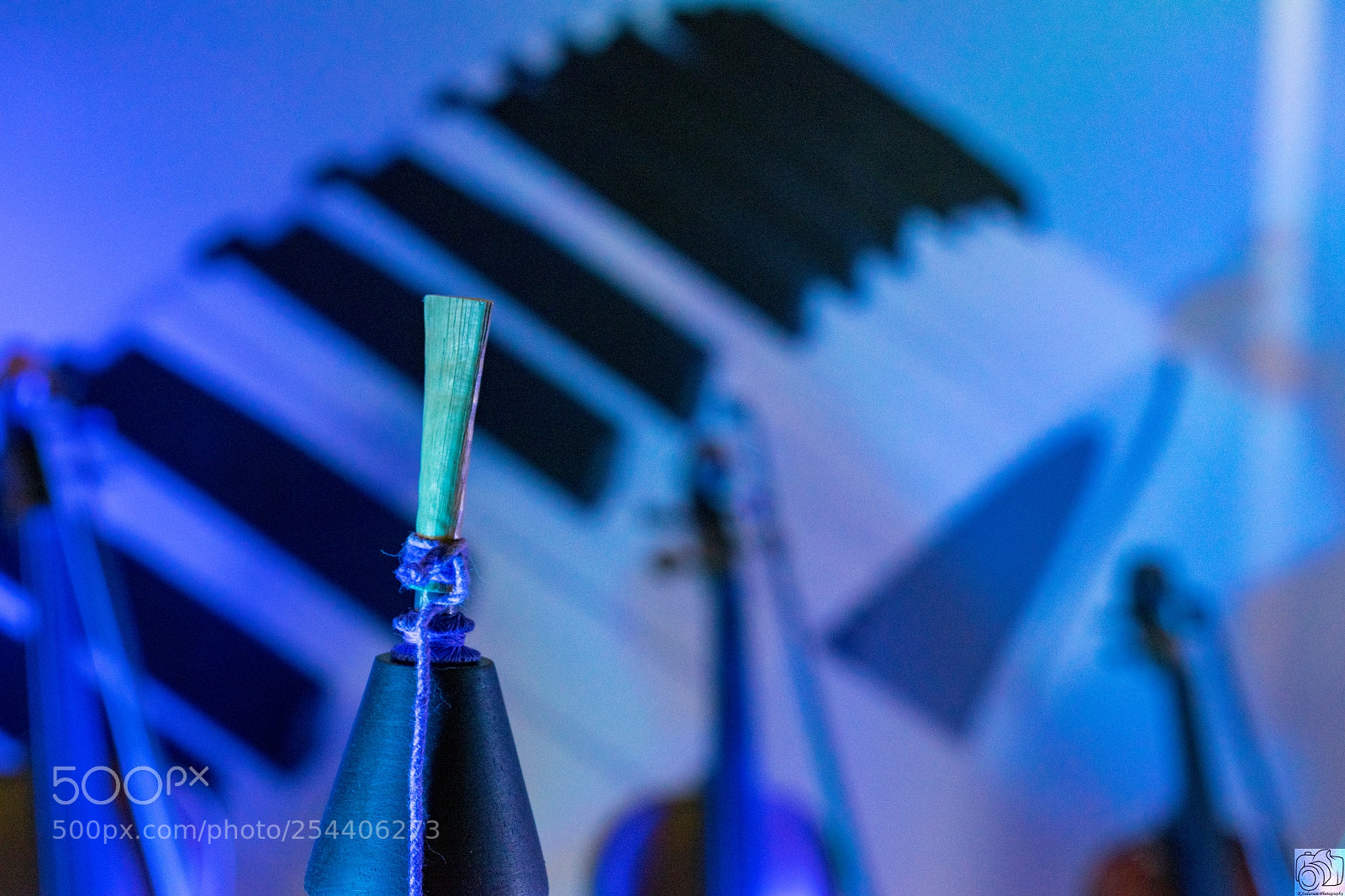 Nikon D5300 sample photo. Untitled photography