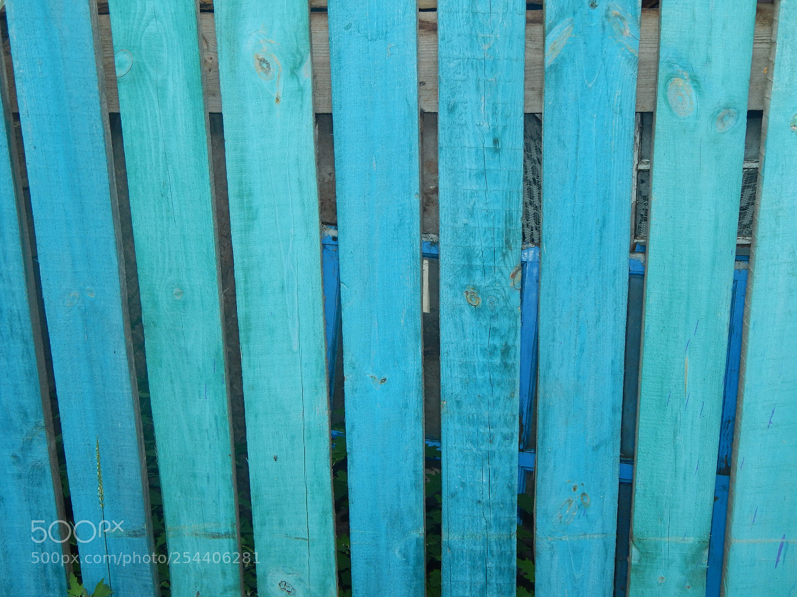 Nikon Coolpix L820 sample photo. The texture of natural photography