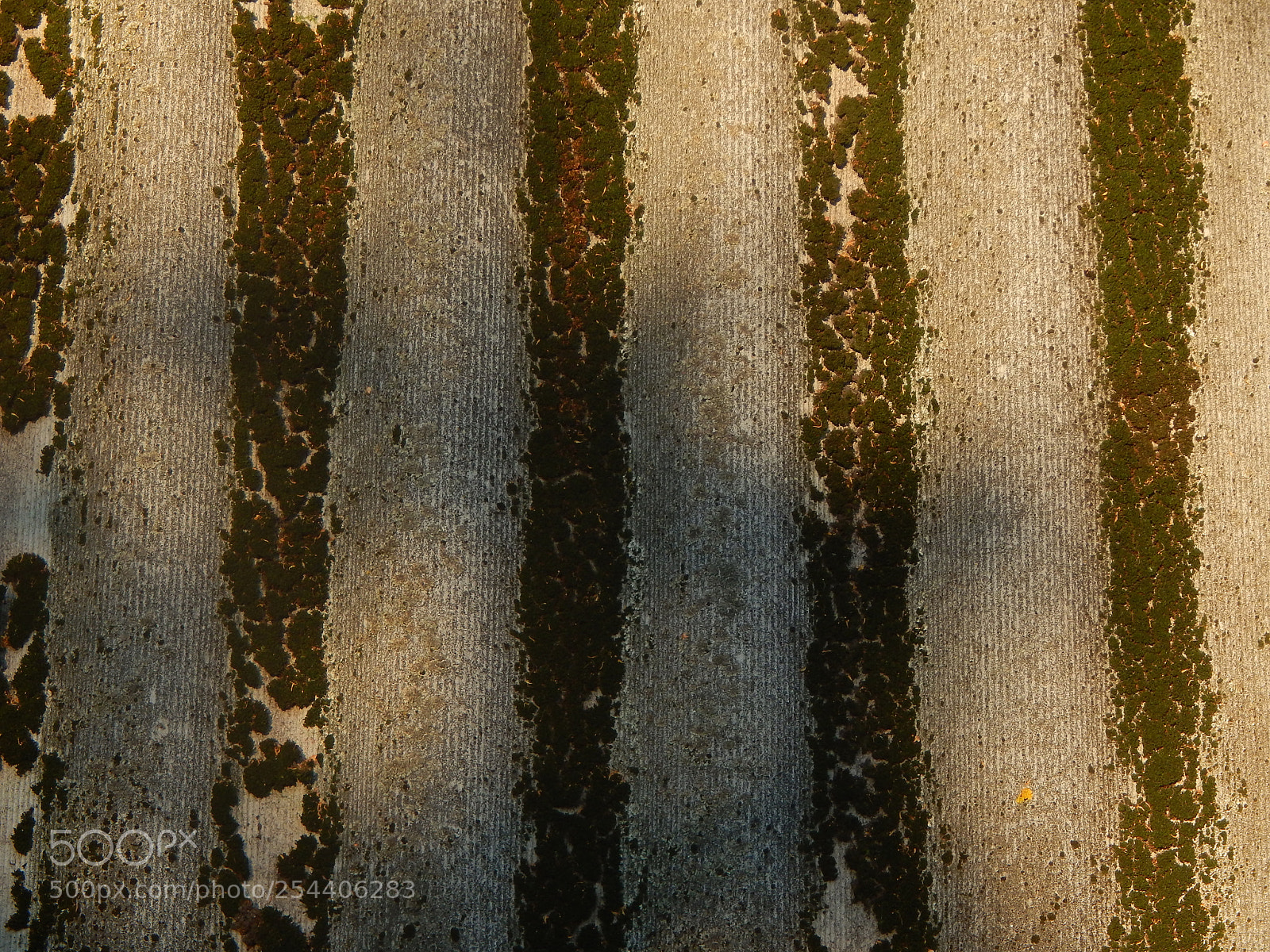Nikon Coolpix L820 sample photo. The texture of natural photography