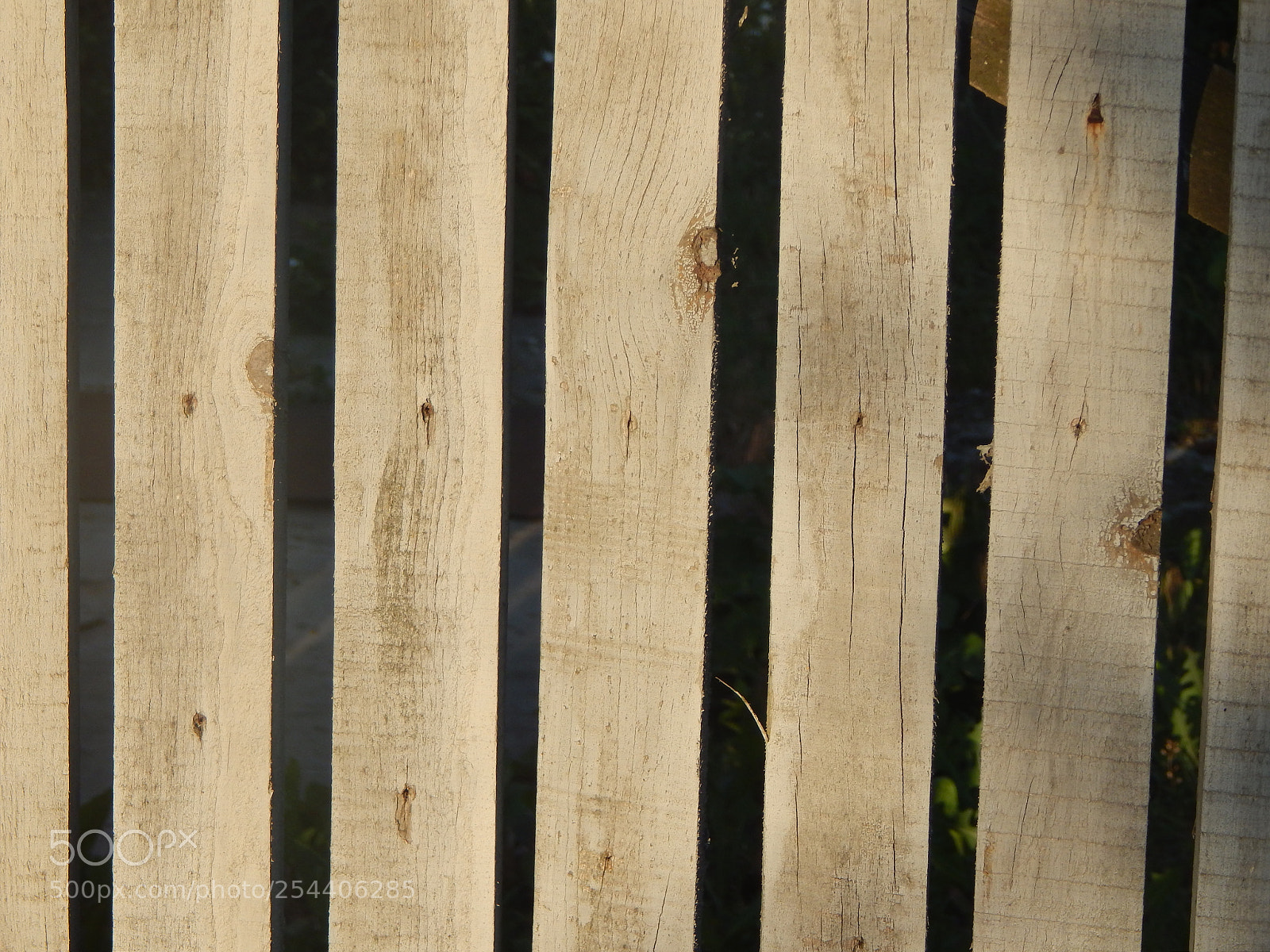 Nikon Coolpix L820 sample photo. The texture of natural photography