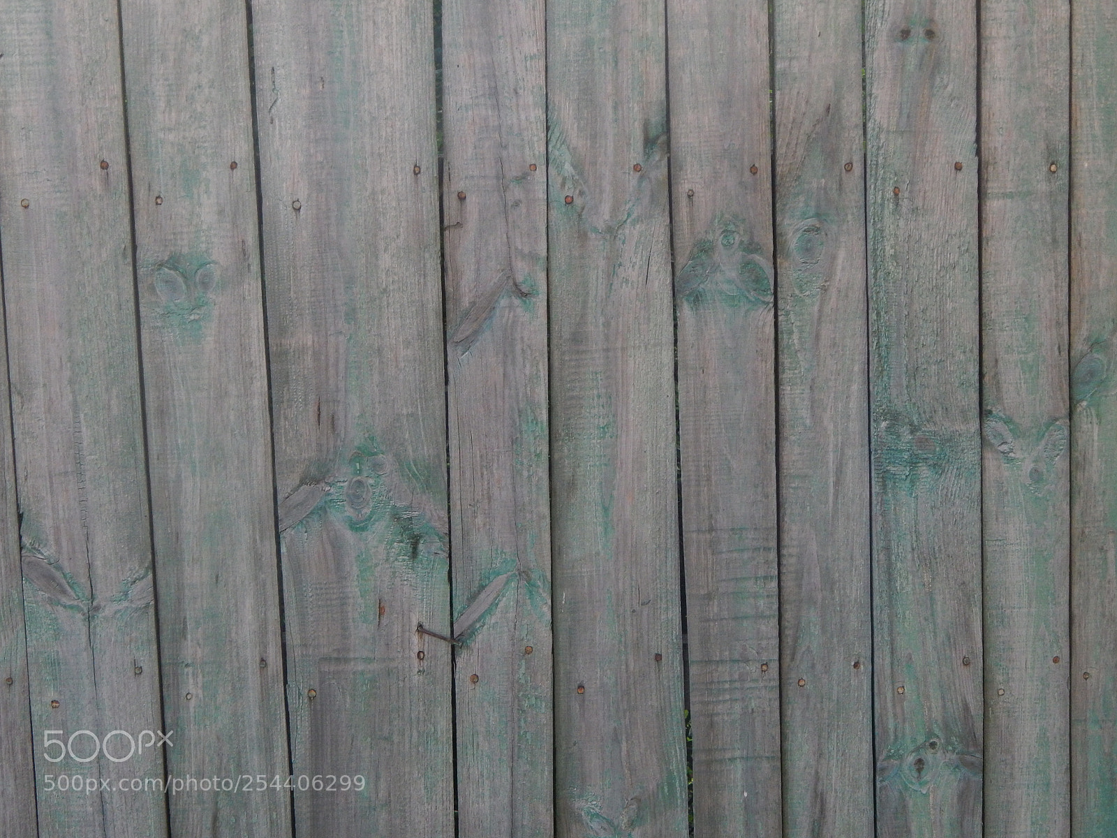 Nikon Coolpix L820 sample photo. The texture of natural photography