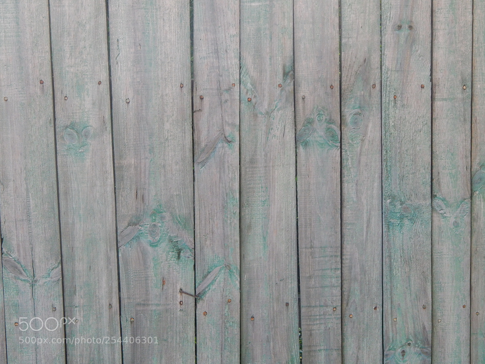 Nikon Coolpix L820 sample photo. The texture of natural photography