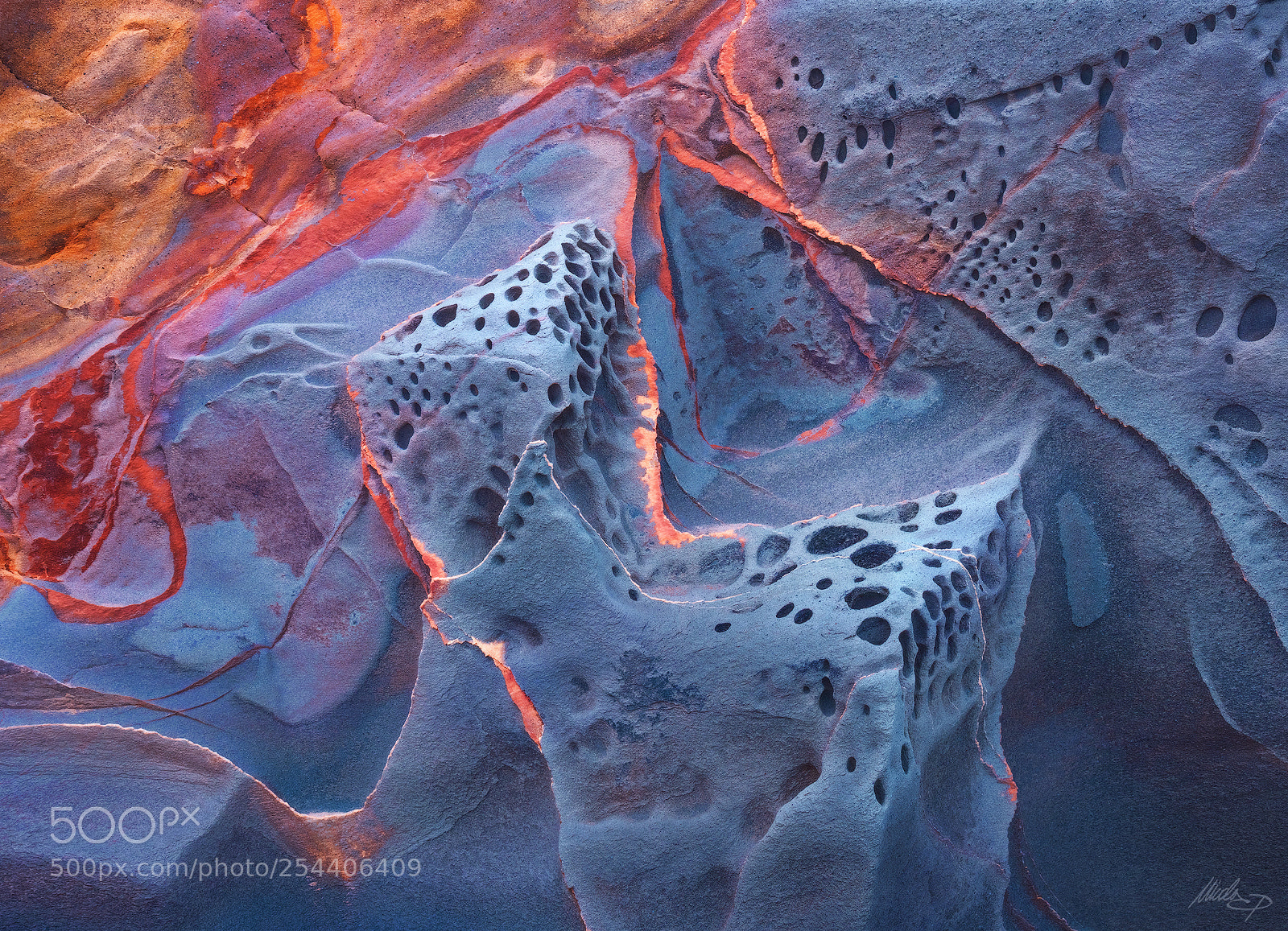 Nikon D810 sample photo. Abiogenesis photography