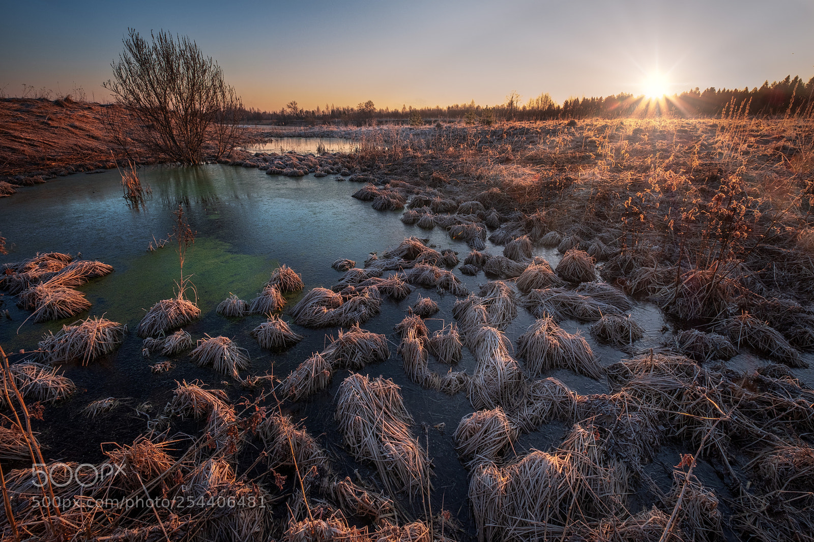 Fujifilm X-H1 sample photo. Not yet thawed swamp photography