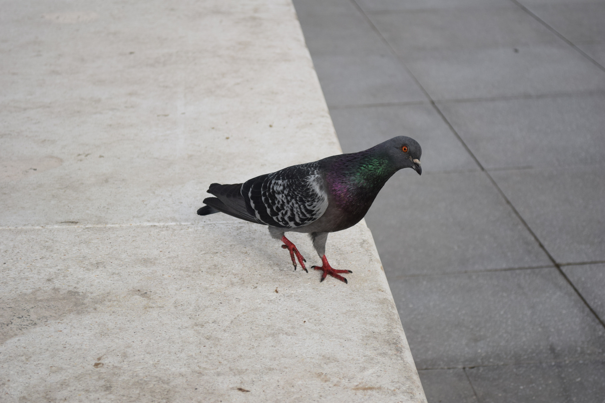 Nikon D5300 sample photo. .. photography