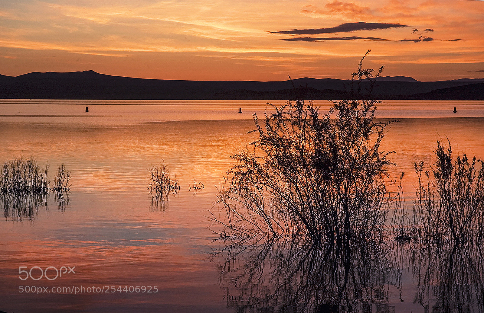 Nikon D200 sample photo. Elephant butte lake at photography