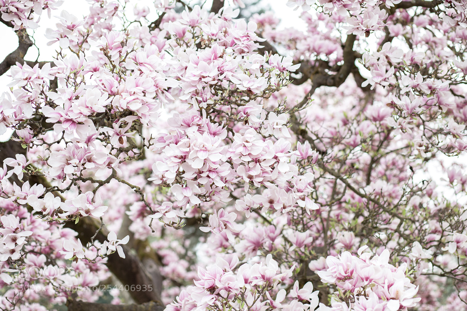 Canon EOS 5D Mark II sample photo. 01.jpg photography