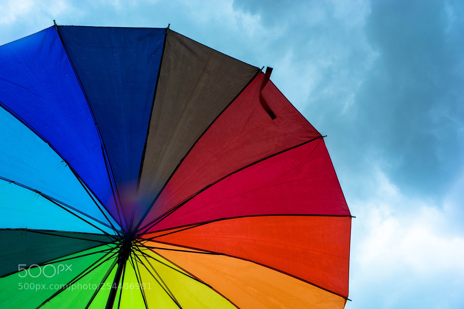 Nikon D5200 sample photo. Umbrella photography