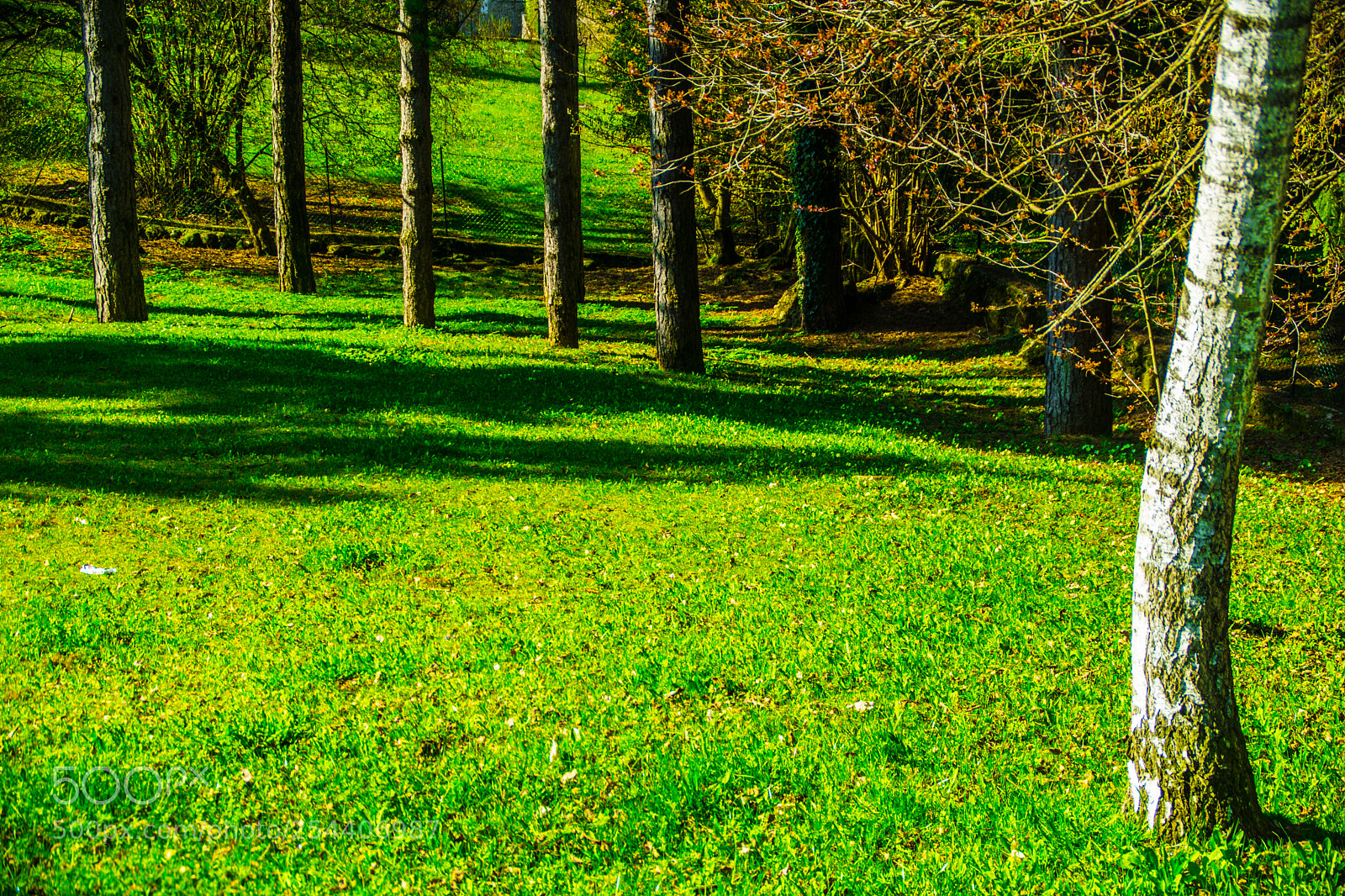 Sony a5100 sample photo. Walking on dorga photography