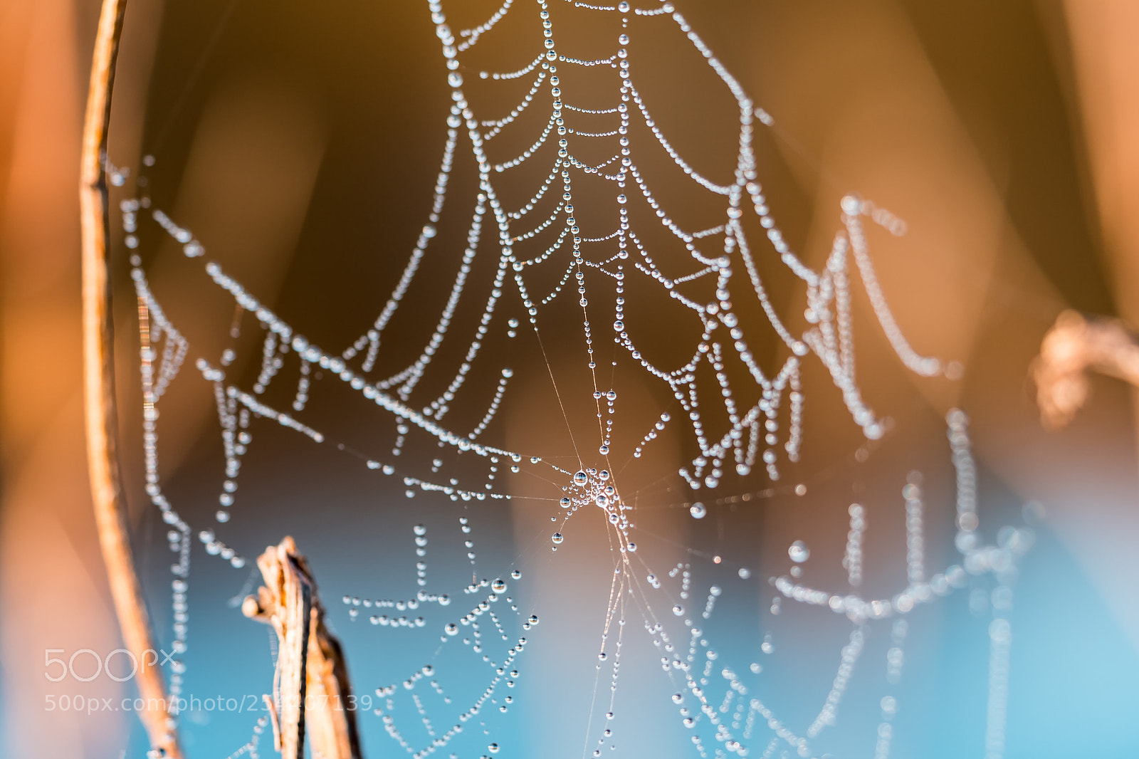 Sony a6500 sample photo. The web photography