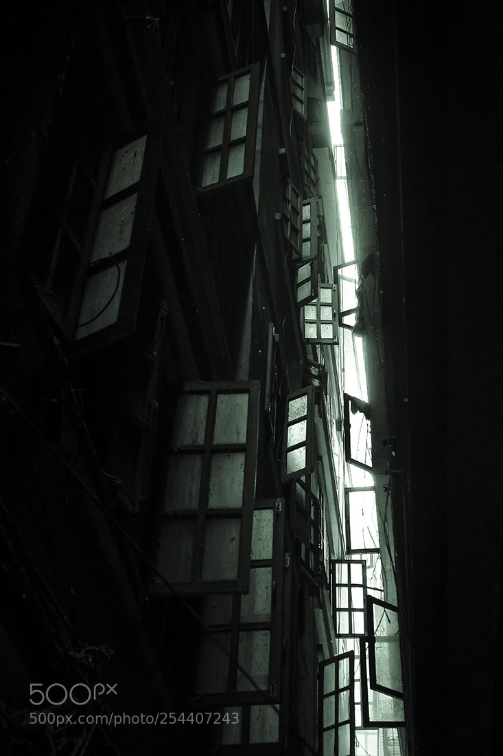 Fujifilm X-T2 sample photo. Windows photography