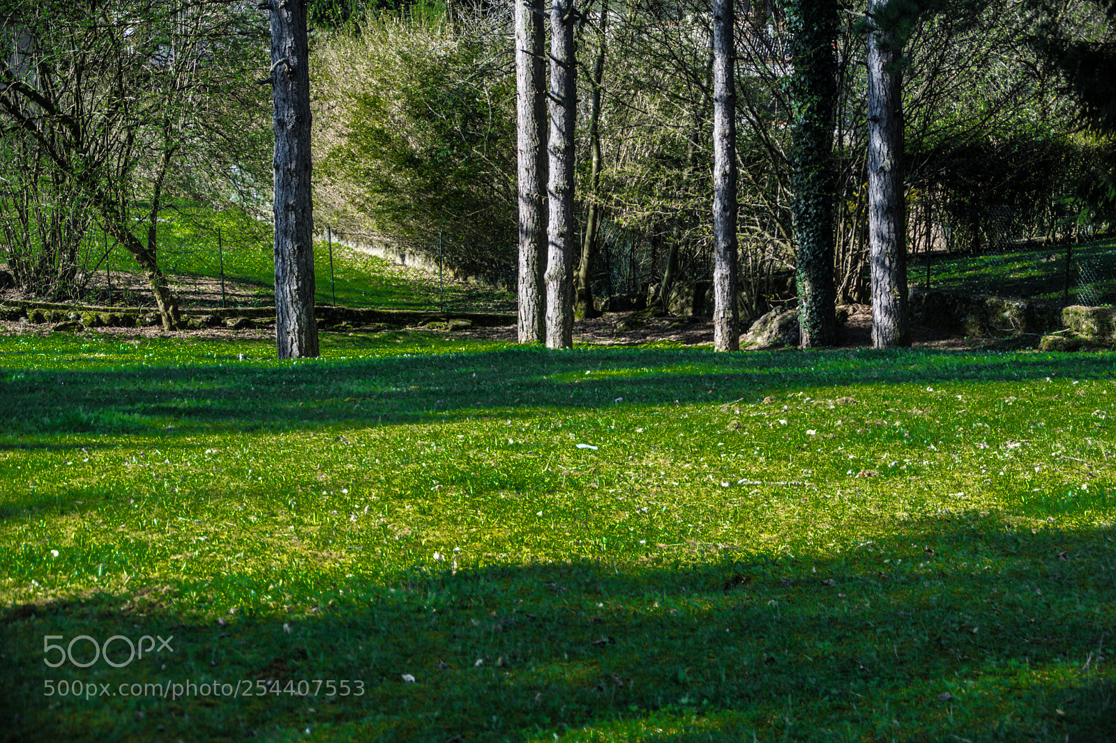 Sony a5100 sample photo. Walking on dorga photography