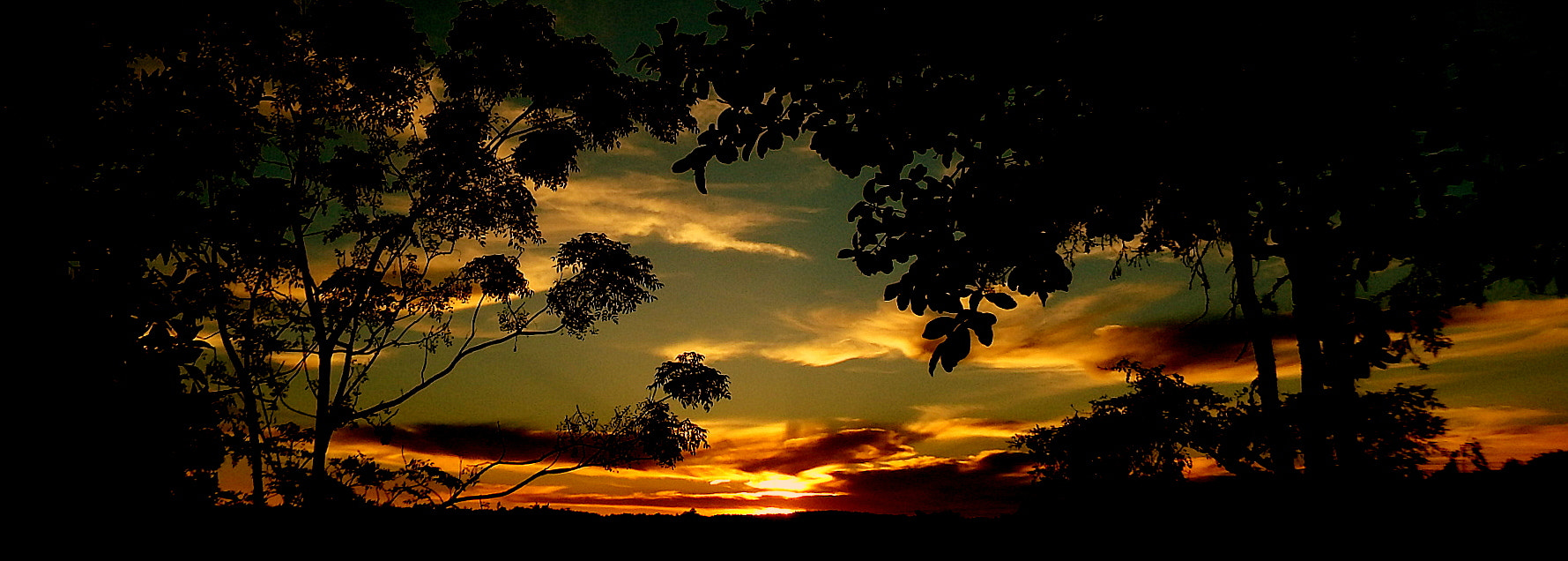 Fujifilm FinePix SL1000 sample photo. In the morning .... photography