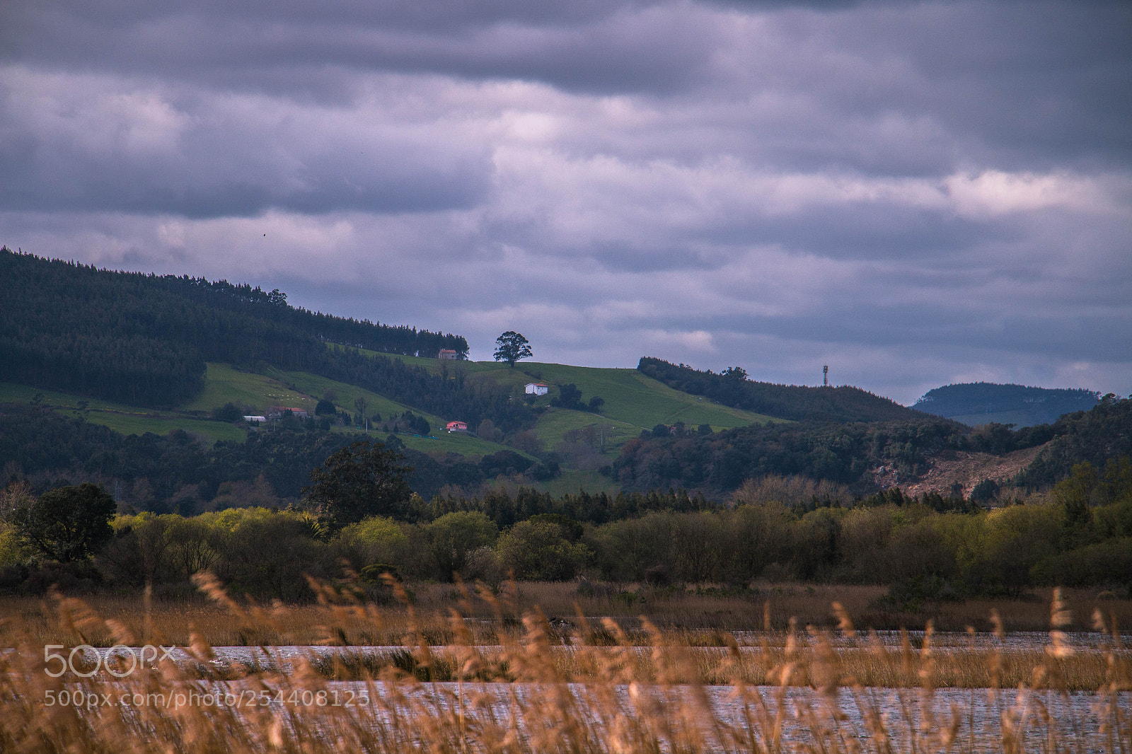 Canon EOS 70D sample photo. Noja hills photography