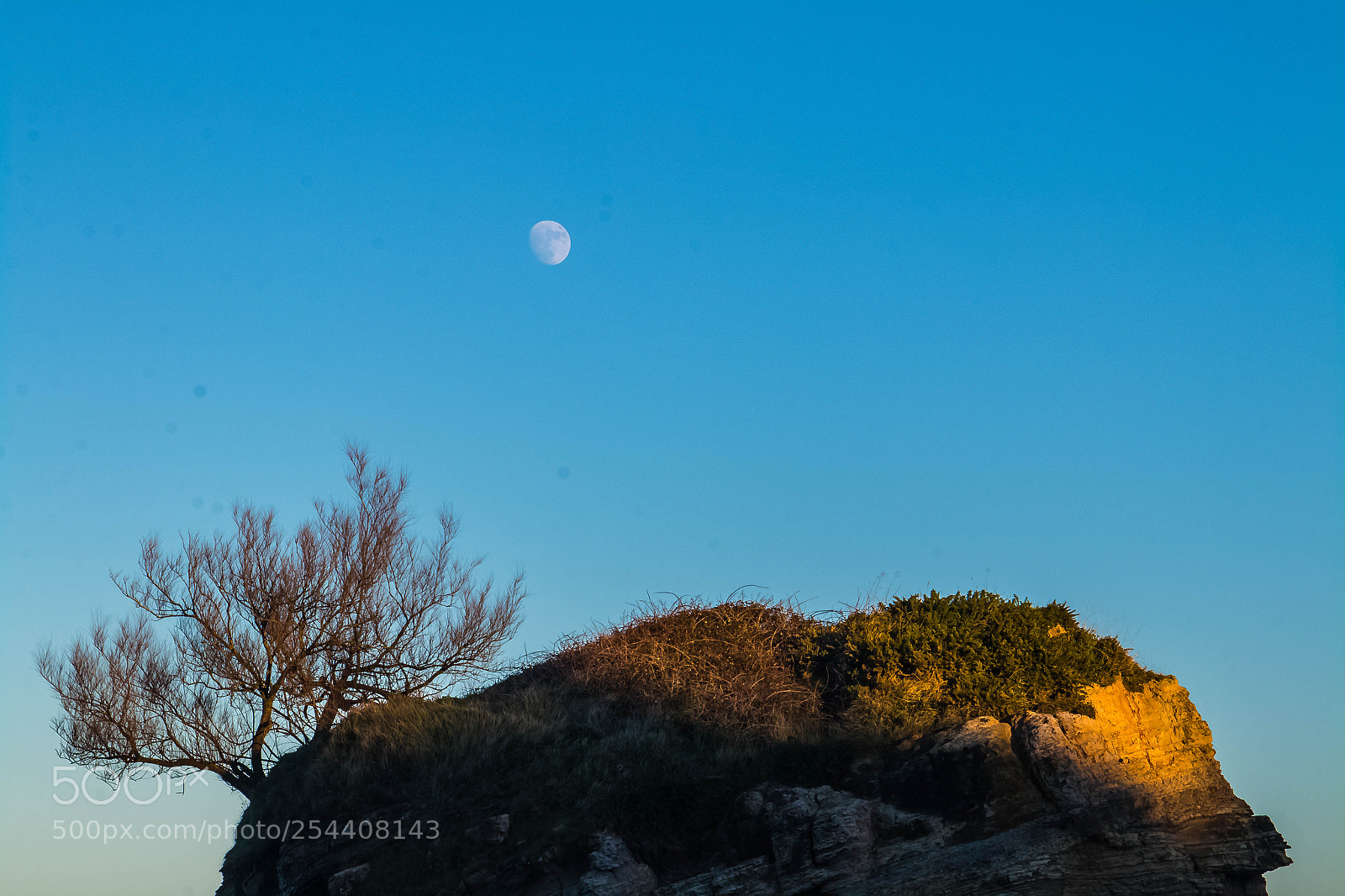 Canon EOS 70D sample photo. Camello beach hill photography