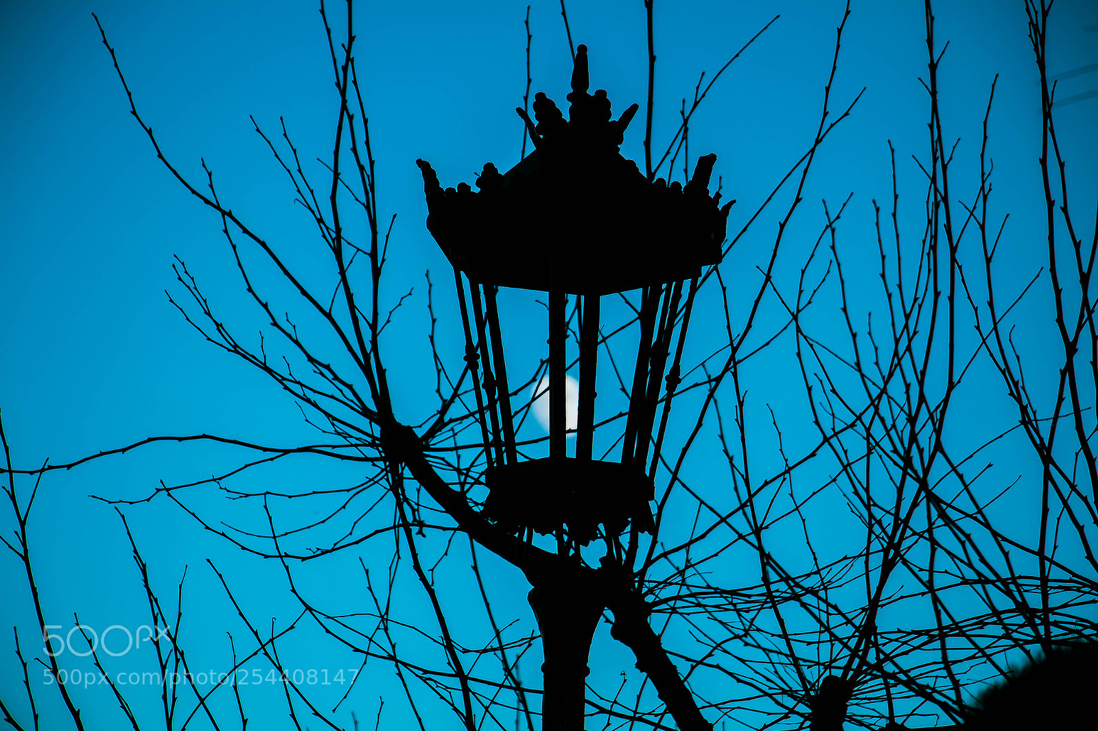 Canon EOS 70D sample photo. Moon photography