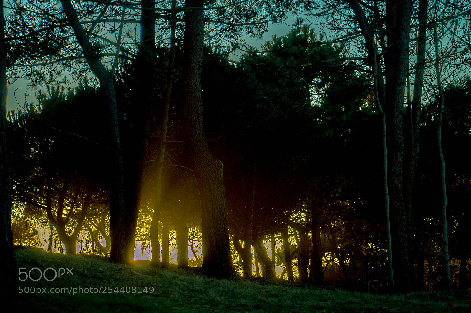 Canon EOS 70D sample photo. Sunset magdalena photography
