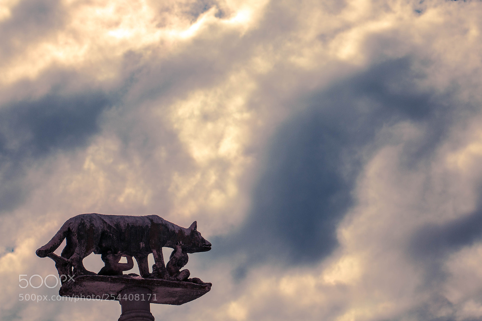 Canon EOS 70D sample photo. Wolf photography