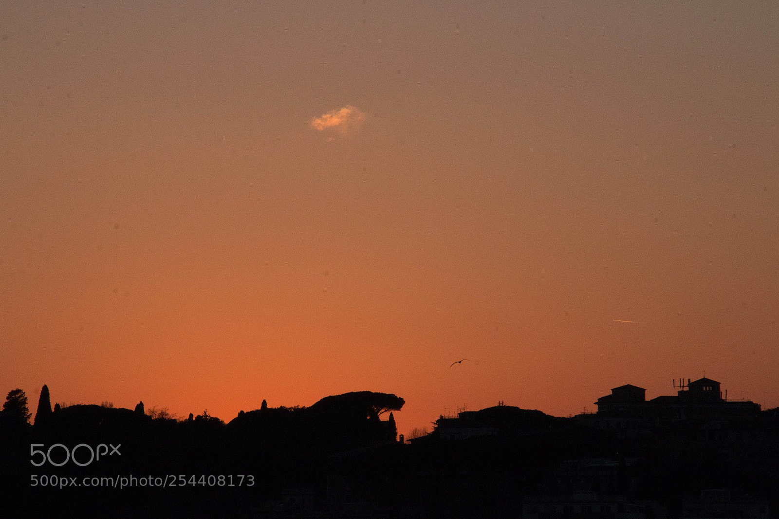 Canon EOS 70D sample photo. Florence photography