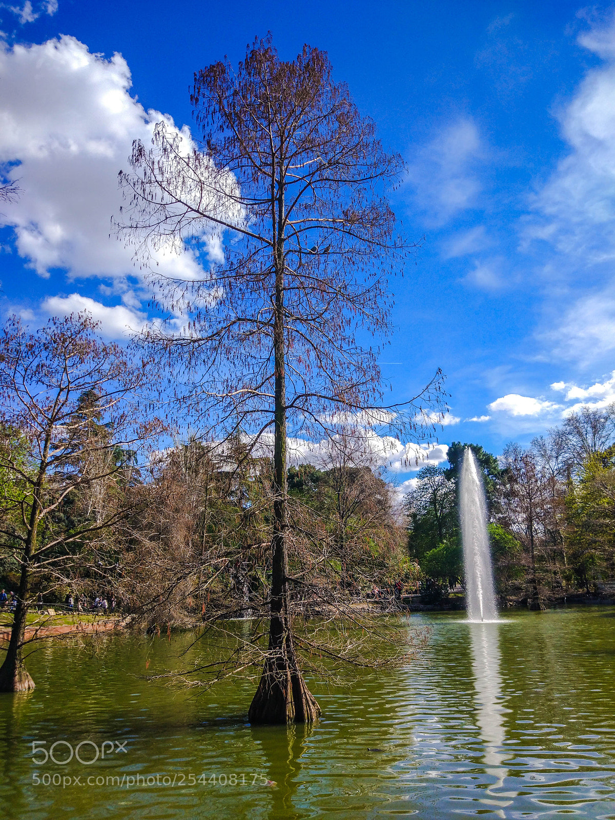 Xiaomi MI 5 sample photo. Retiro photography