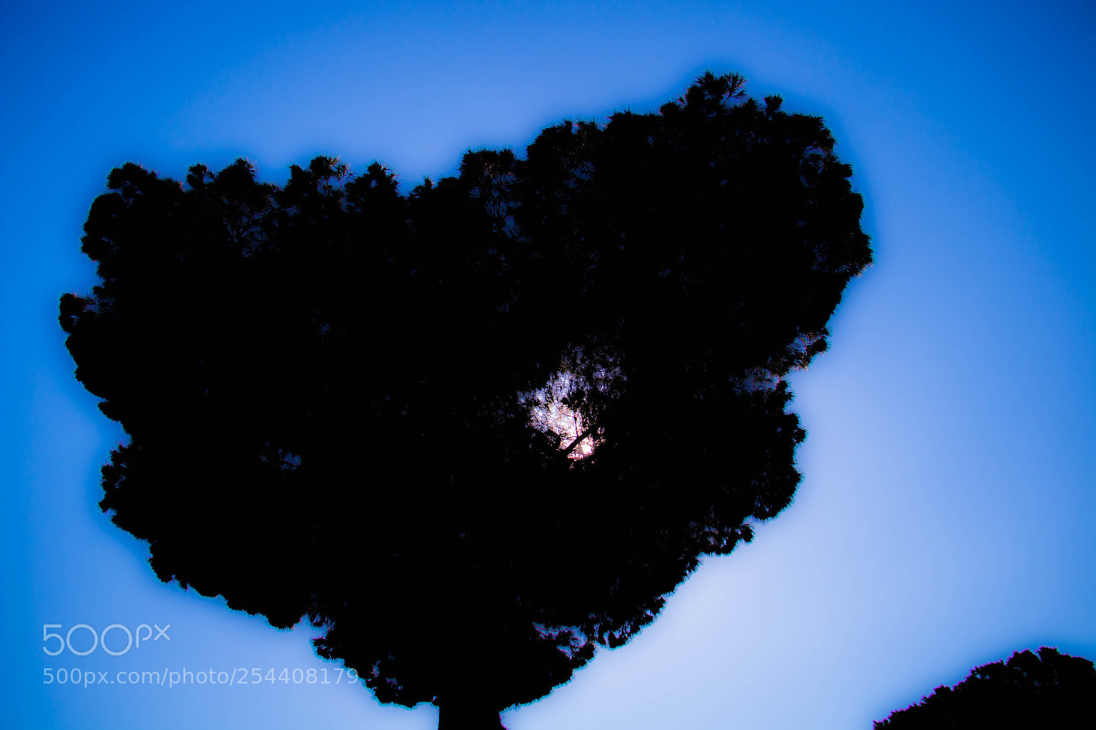 Canon EOS 70D sample photo. Heart photography