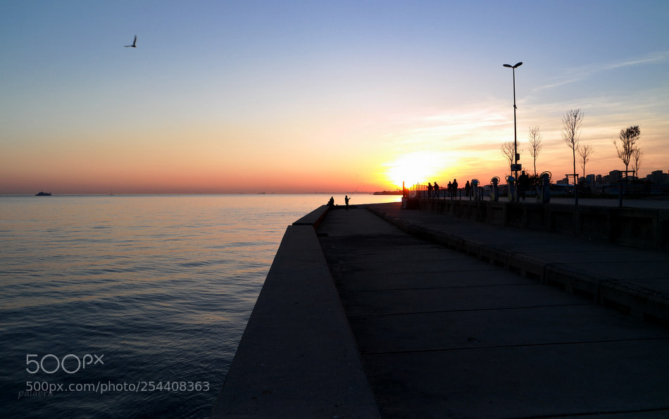 Samsung NX30 sample photo. ... photography