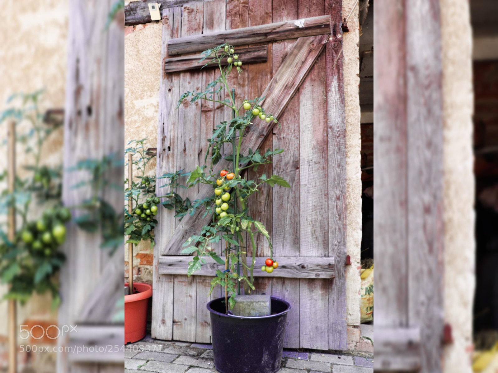 Canon EOS 77D (EOS 9000D / EOS 770D) sample photo. Untitled photography