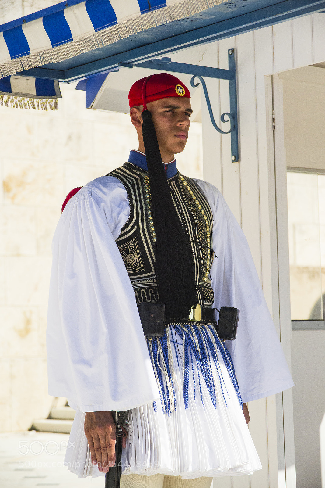 Nikon D800 sample photo. Greek presidential guards vol. 116 photography