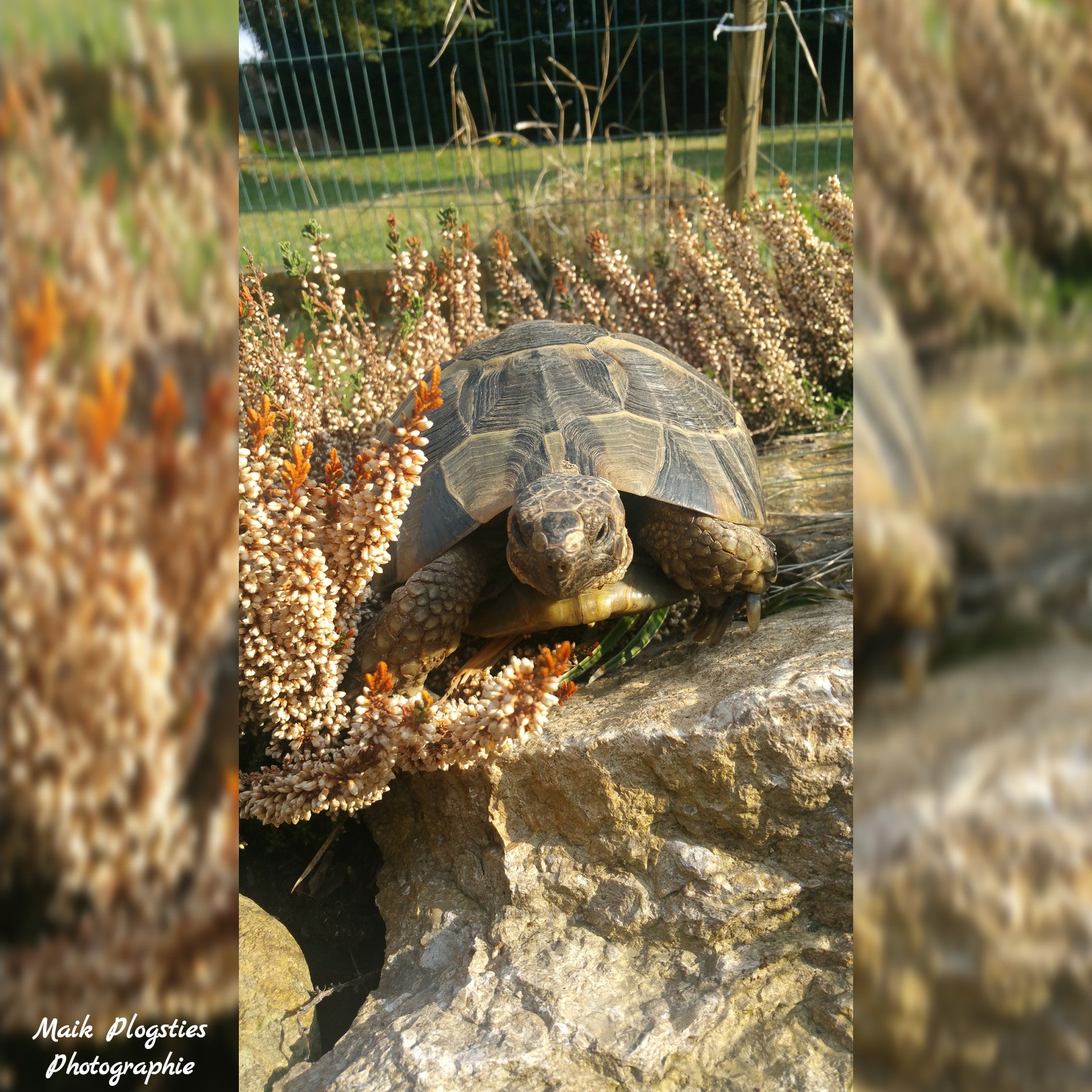 Samsung Galaxy Note Edge sample photo