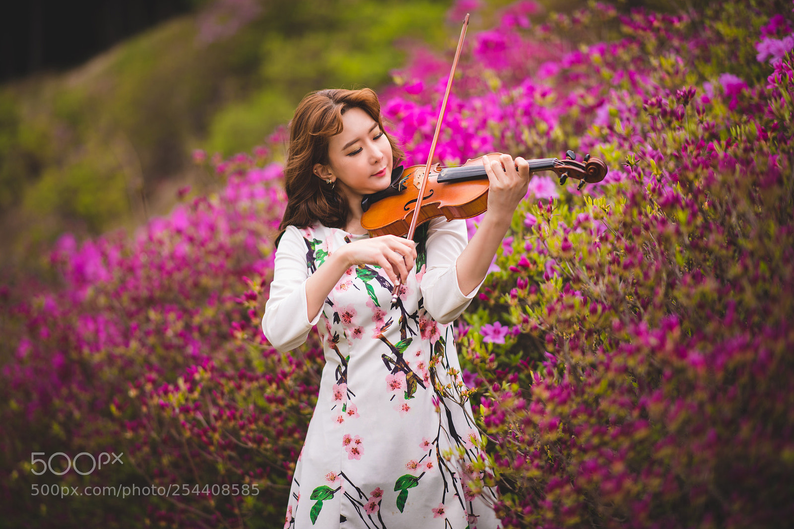 Nikon D850 sample photo. Violinist photography
