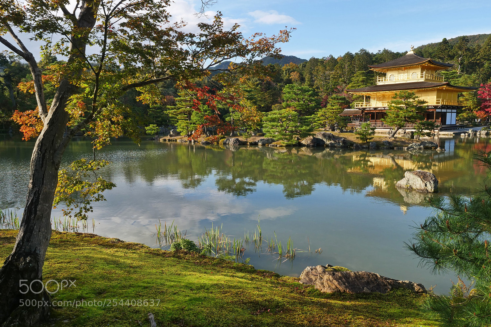 Panasonic Lumix DC-GH5 sample photo. Fall in japan photography