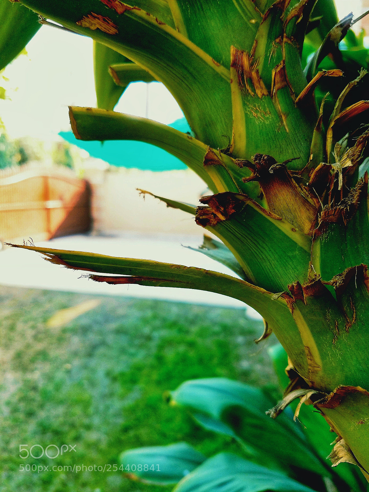 Samsung Galaxy S7 sample photo. Untitled photography