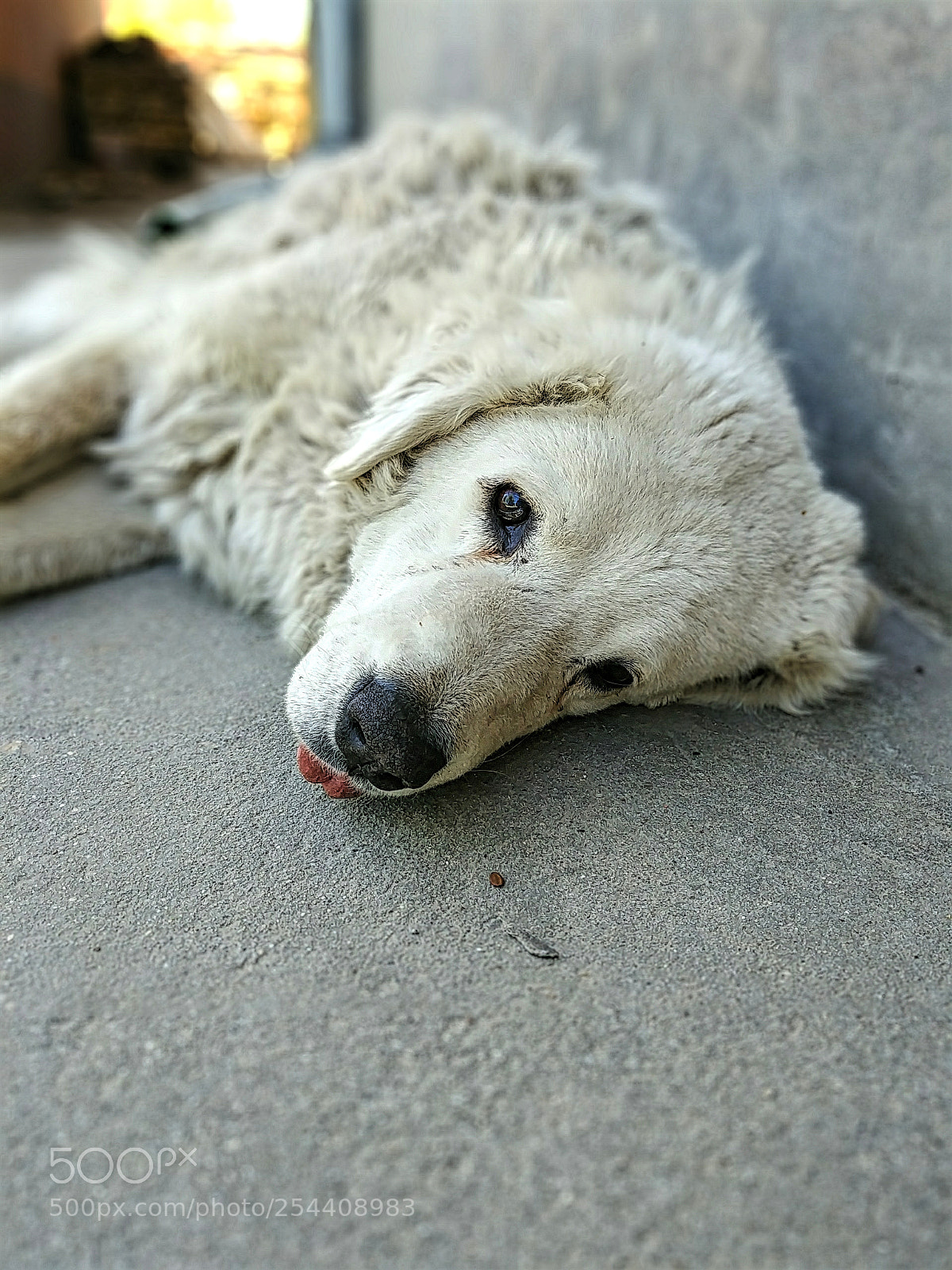 LG G6 sample photo. Aged eyes photography