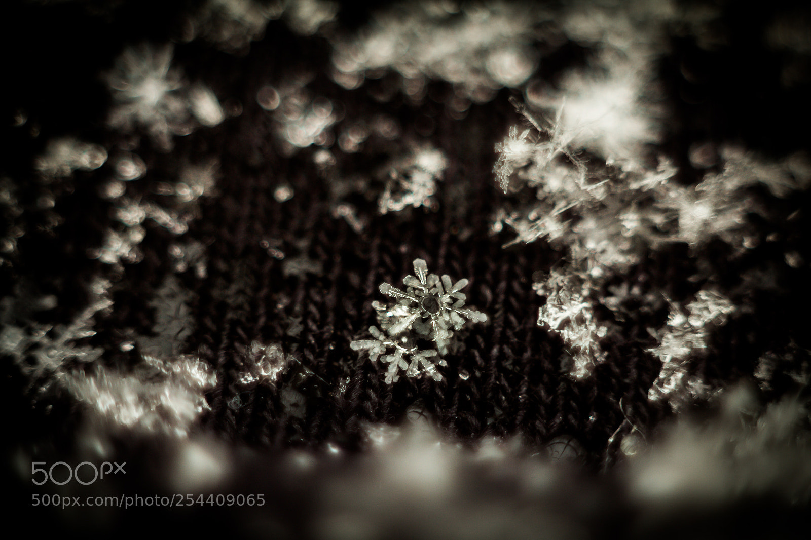 Canon EOS 60D sample photo. Снежинки. snowflakes. photography