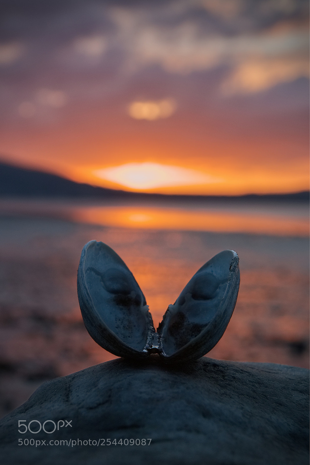 Canon EOS 70D sample photo. Bi-valve sunset photography