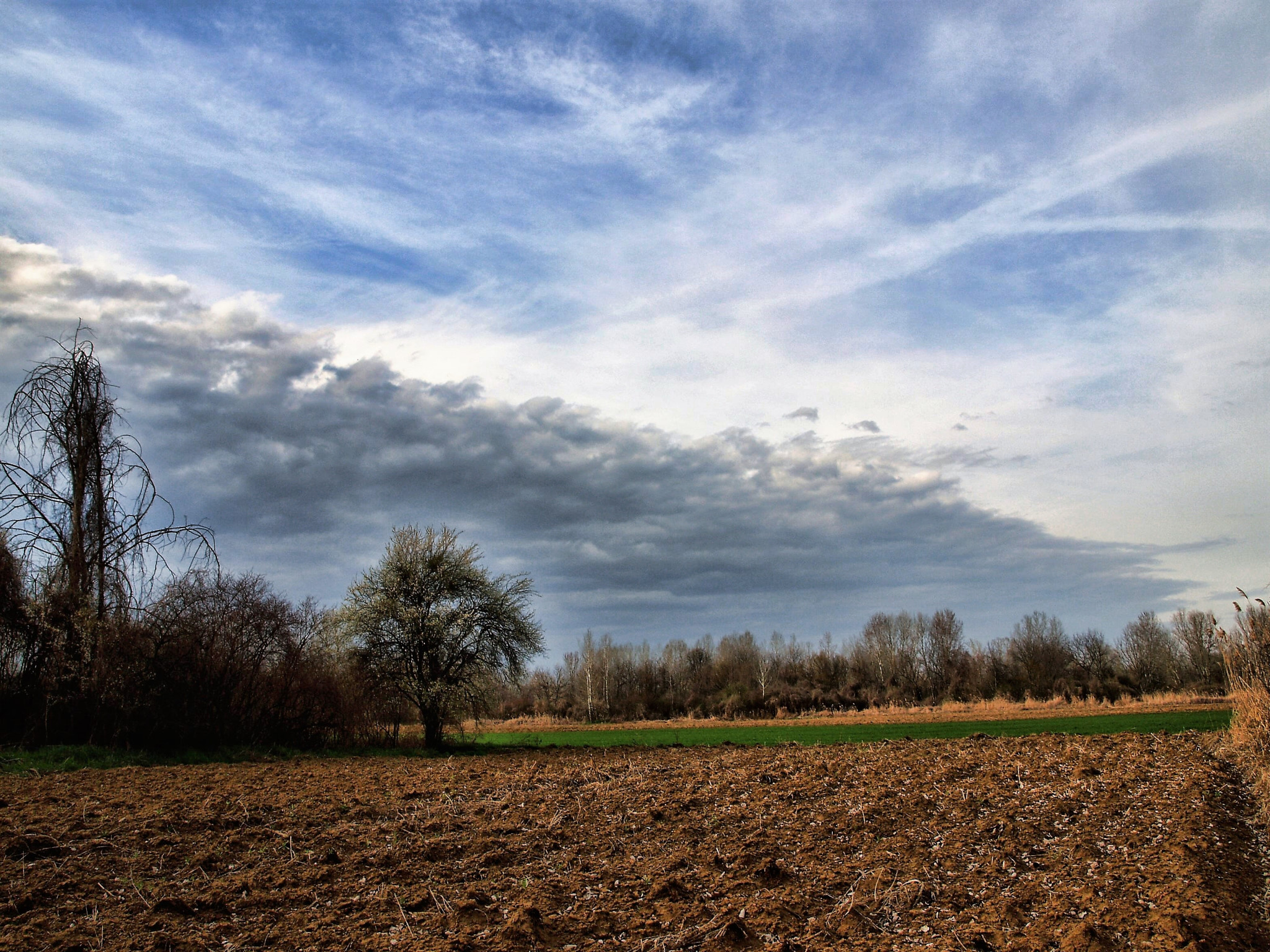 Olympus E-330 (EVOLT E-330) sample photo. Pastoral...... photography