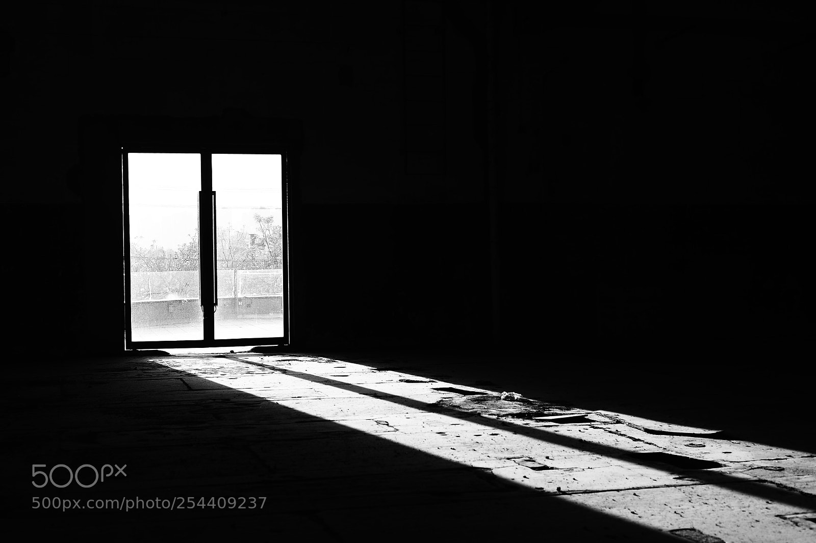 Nikon D610 sample photo. Untitled photography