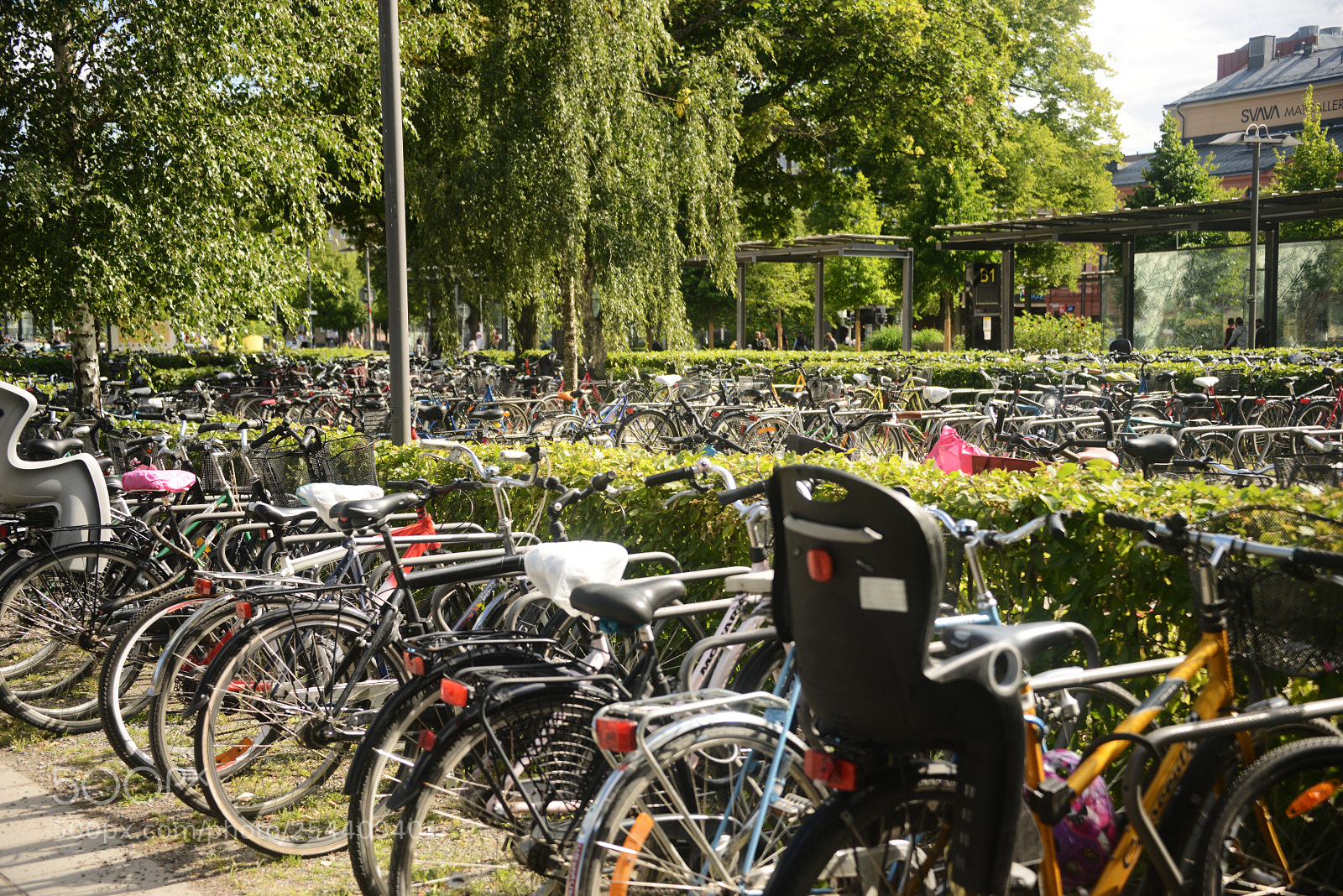 Nikon D800 sample photo. Bicycles photography