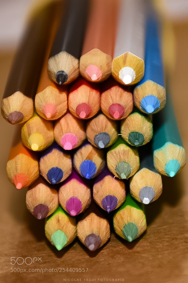 Nikon D7200 sample photo. Colors photography
