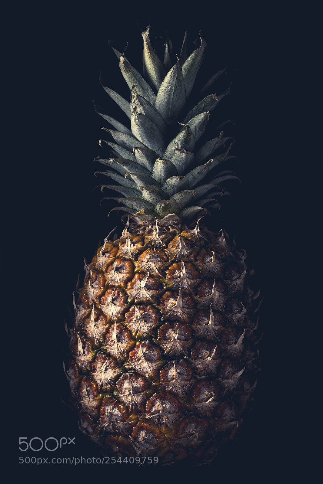 Canon EOS 70D sample photo. Close-up of pineapple on photography