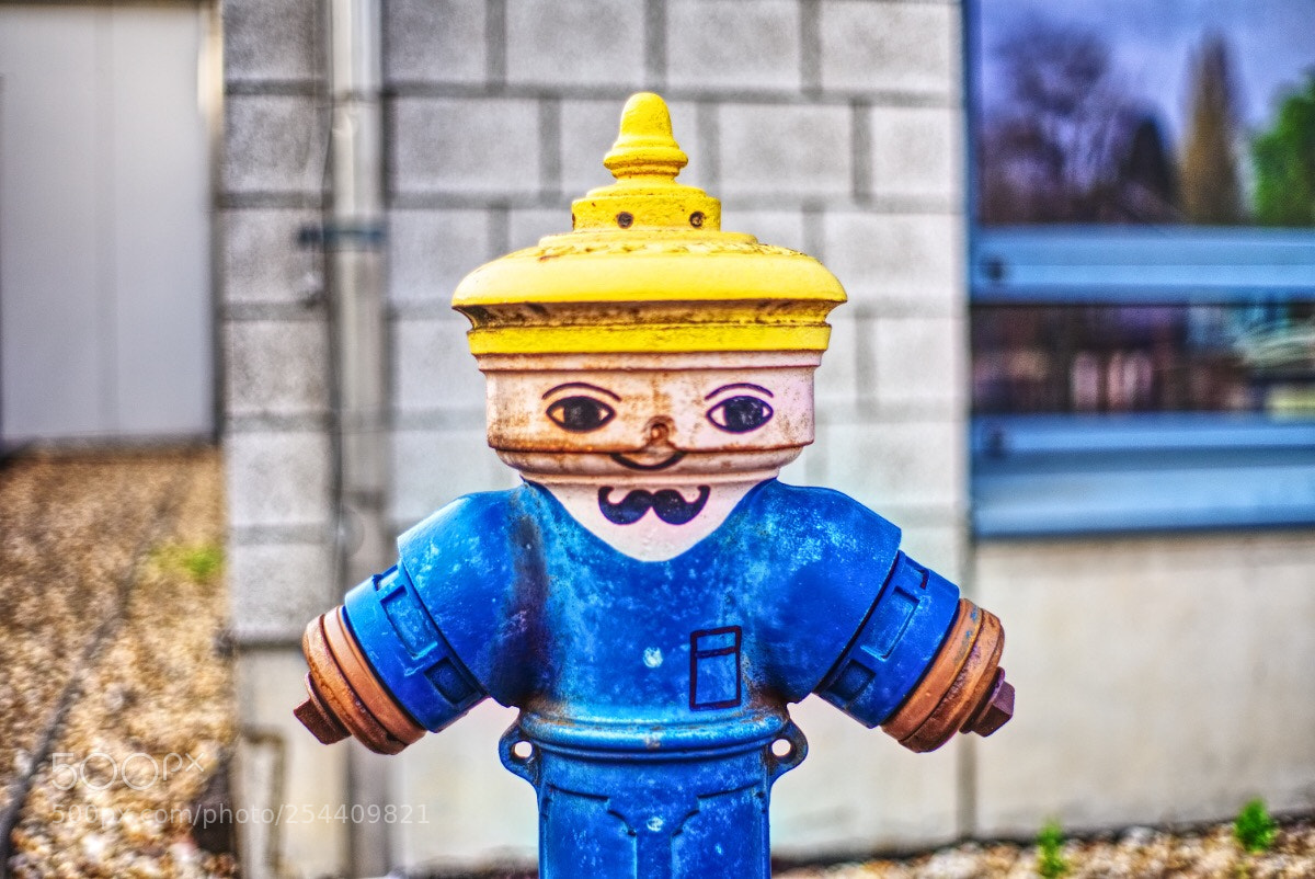 Sony a7 II sample photo. 45 /365  photography
