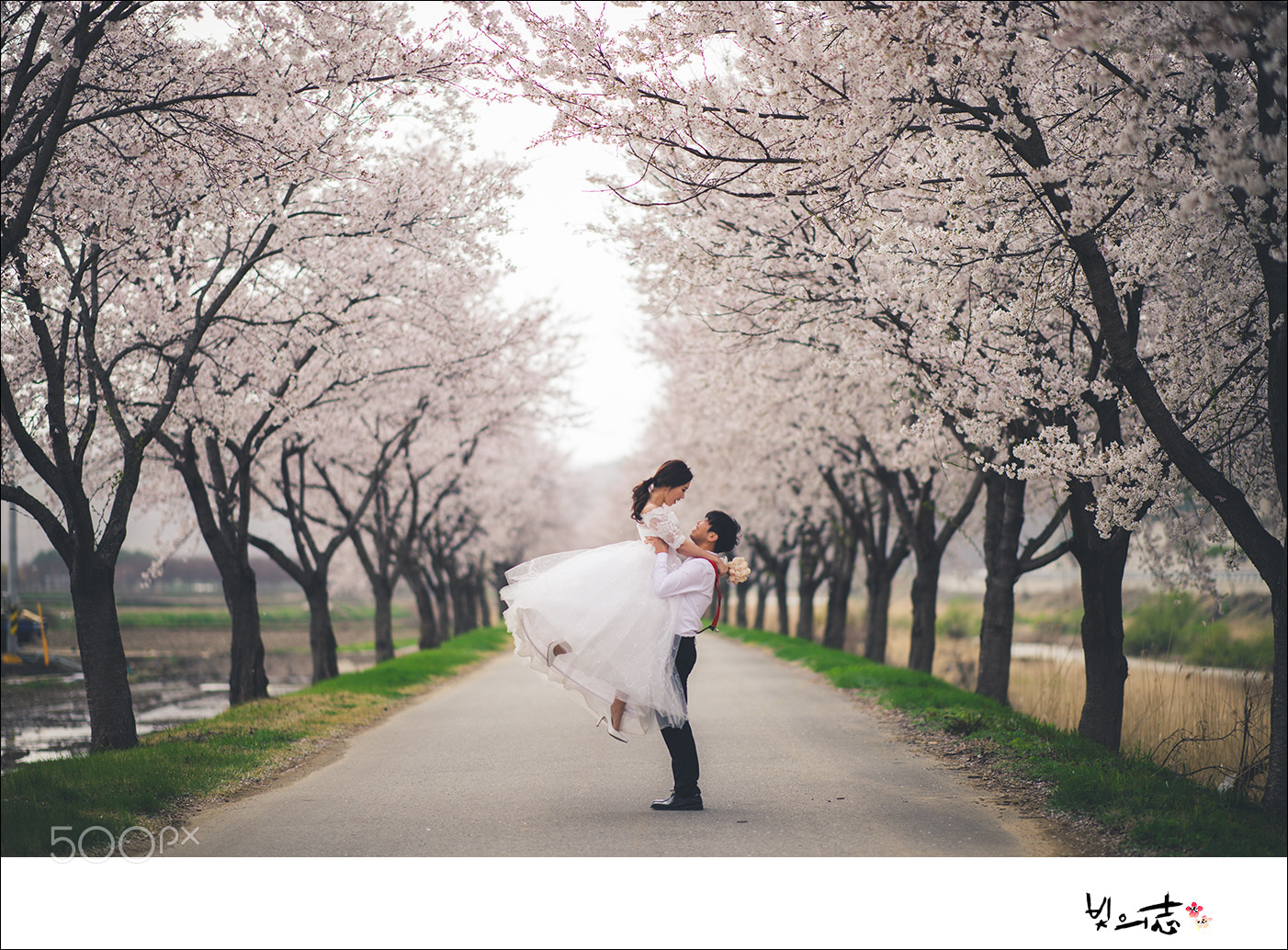 Nikon Df sample photo. Beautiful couple photography